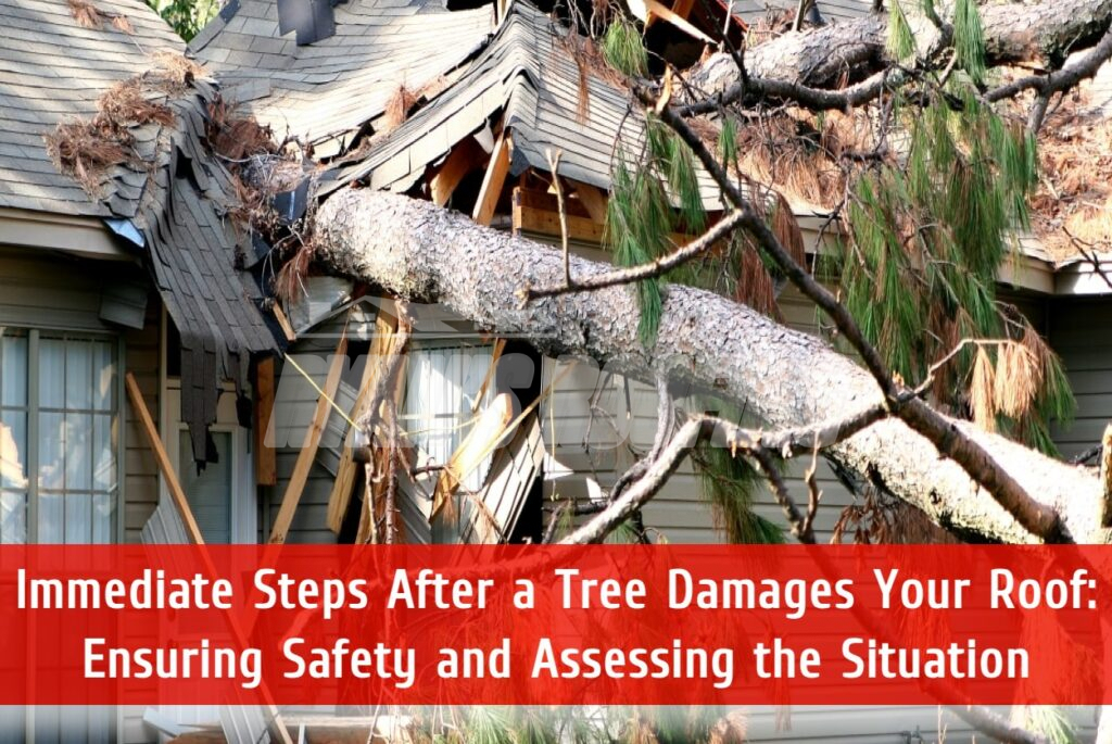 Tree damage roof repair in York PA